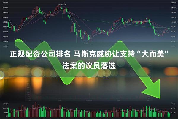 正规配资公司排名 马斯克威胁让支持“大而美”法案的议员落选